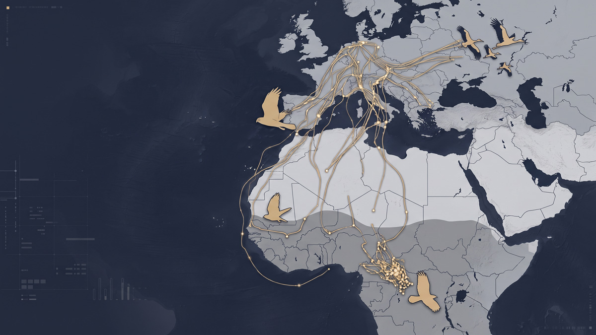 The Migration Routes